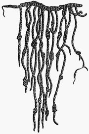 180px-Quipu.png