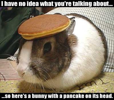 BunnyPancake.jpg