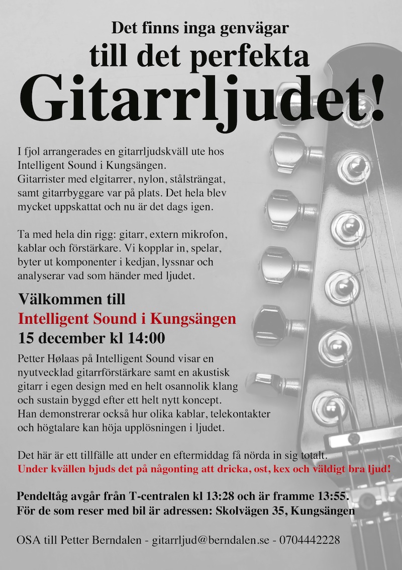 gitarrljudweb.jpg