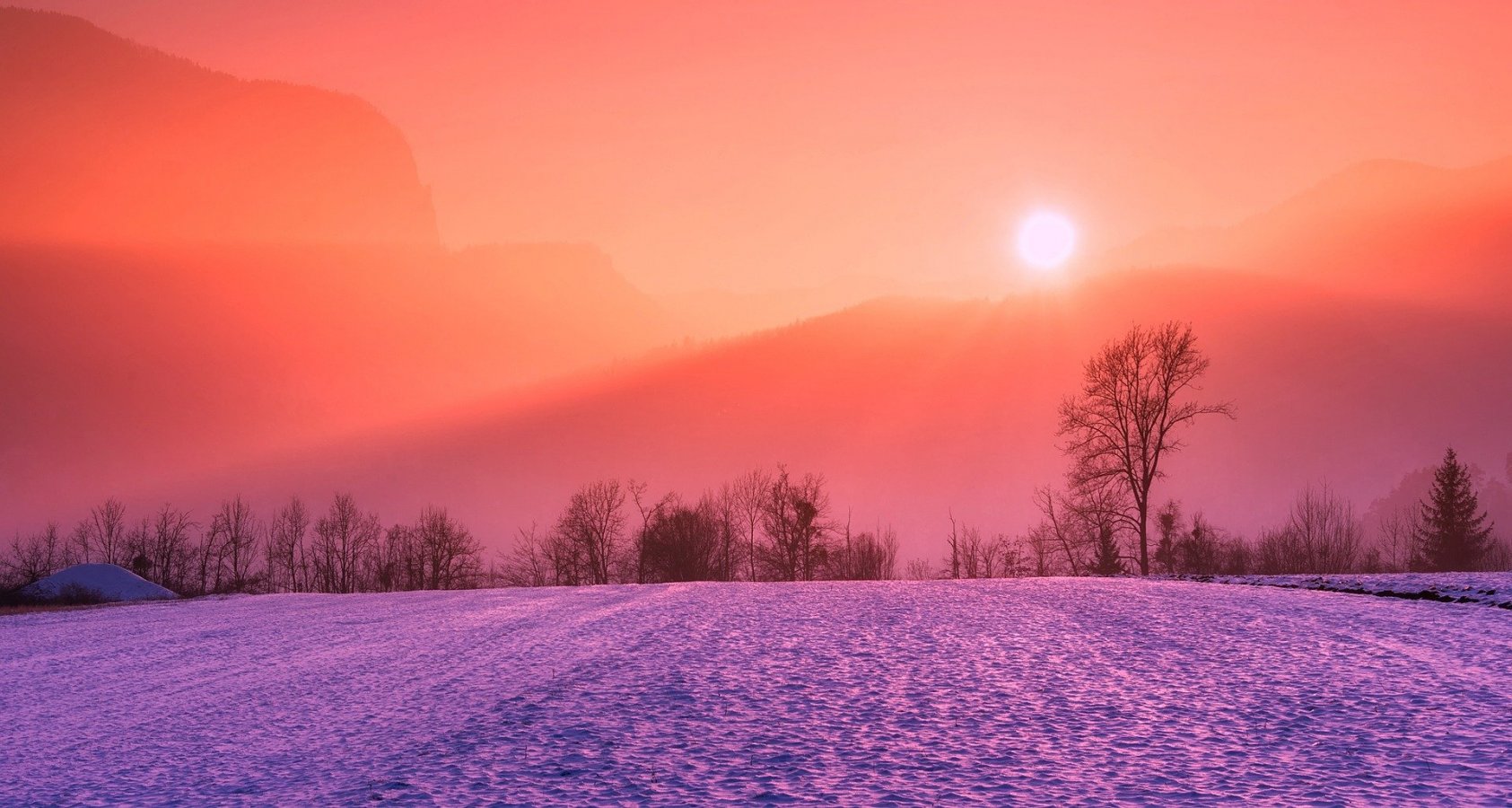 vinter.thumb.jpg.645c9fcf098cd262a7c8449cbd783a12.jpg