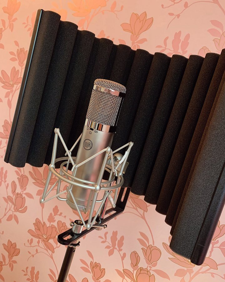 Warm Audio WA-47jr.jpeg