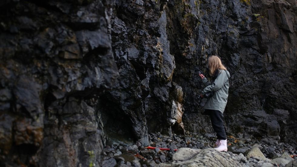 Mer information om "Så spelar du in miljöljud på fältet"