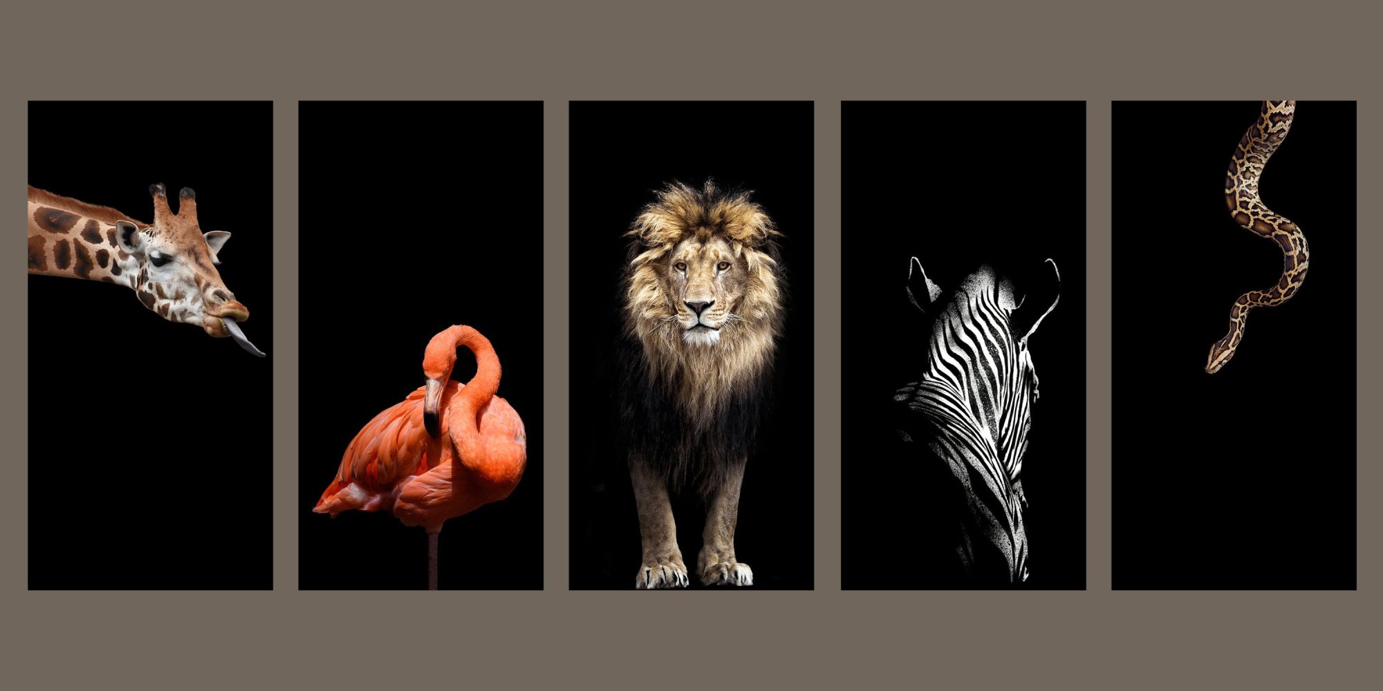 Paneler + Vägg Exempel.jpg