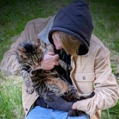 Sibbe