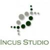 IncusStudio